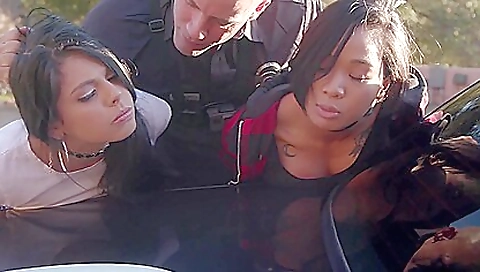 Illegal Ladies Illegal Ladies